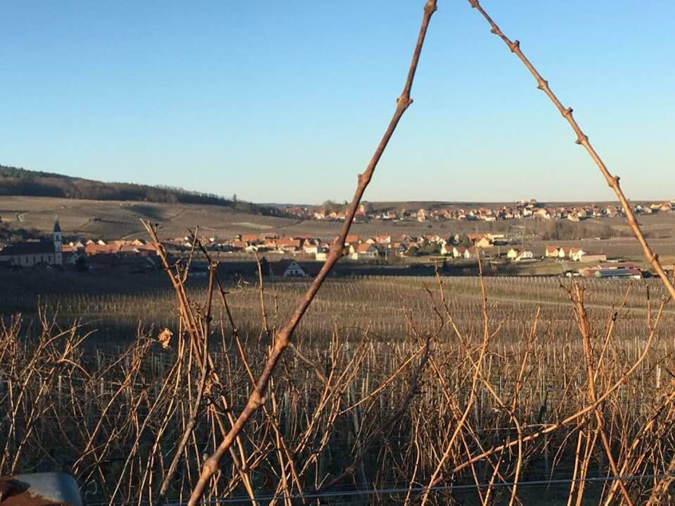 Les Gites Du Raceme Blienschwiller Екстер'єр фото